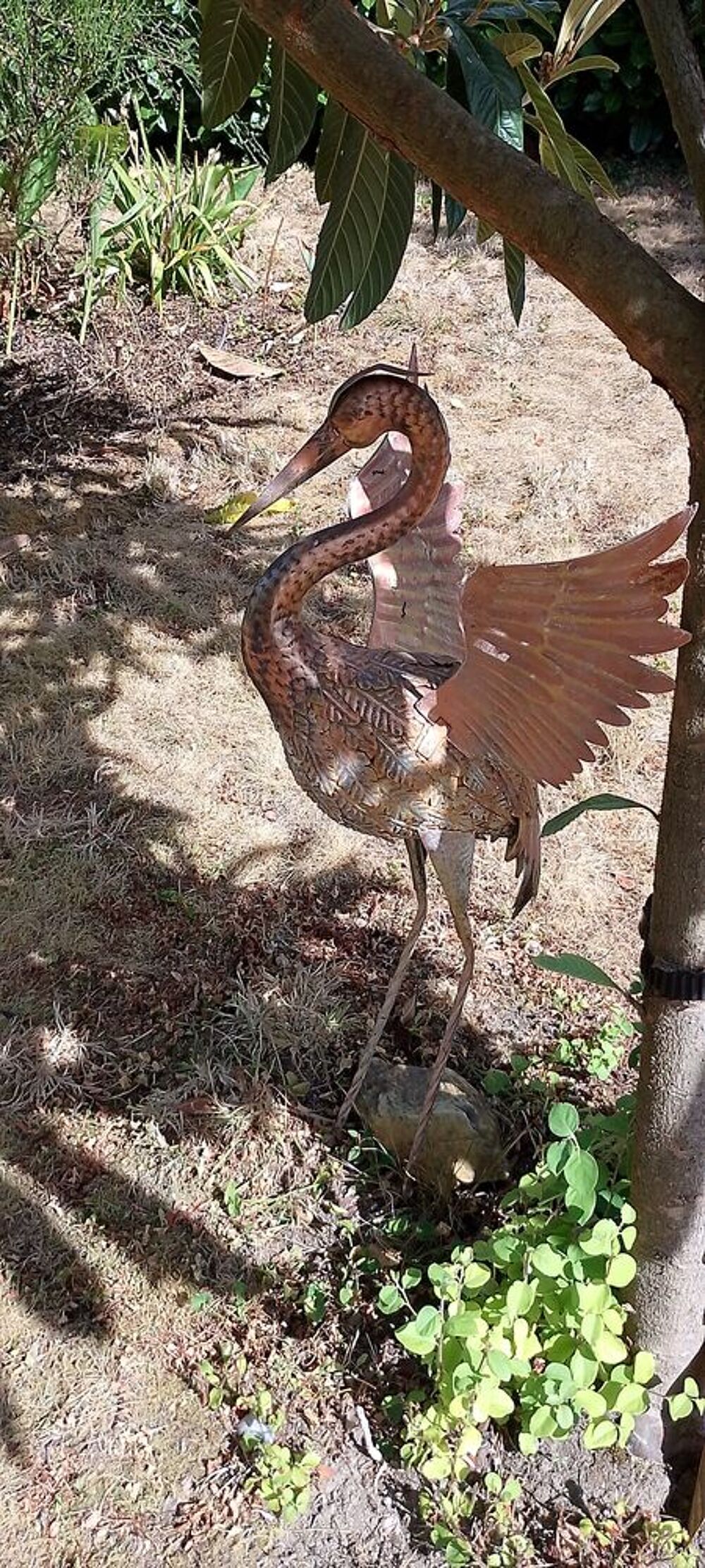 Herons de jardin Jardin