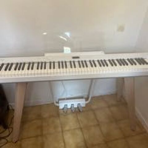 casio privia s7000 1300 Nice (06)