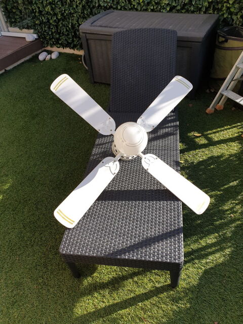 Ventilateur / lustre plafonnier 30 Mandelieu-la-Napoule (06)