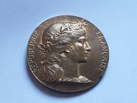 M�daille bronze Comice viticole et agricole  42 Bordeaux (33)