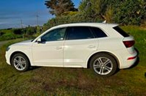 Q5 2.0 TDI 150 2018 occasion 29217 