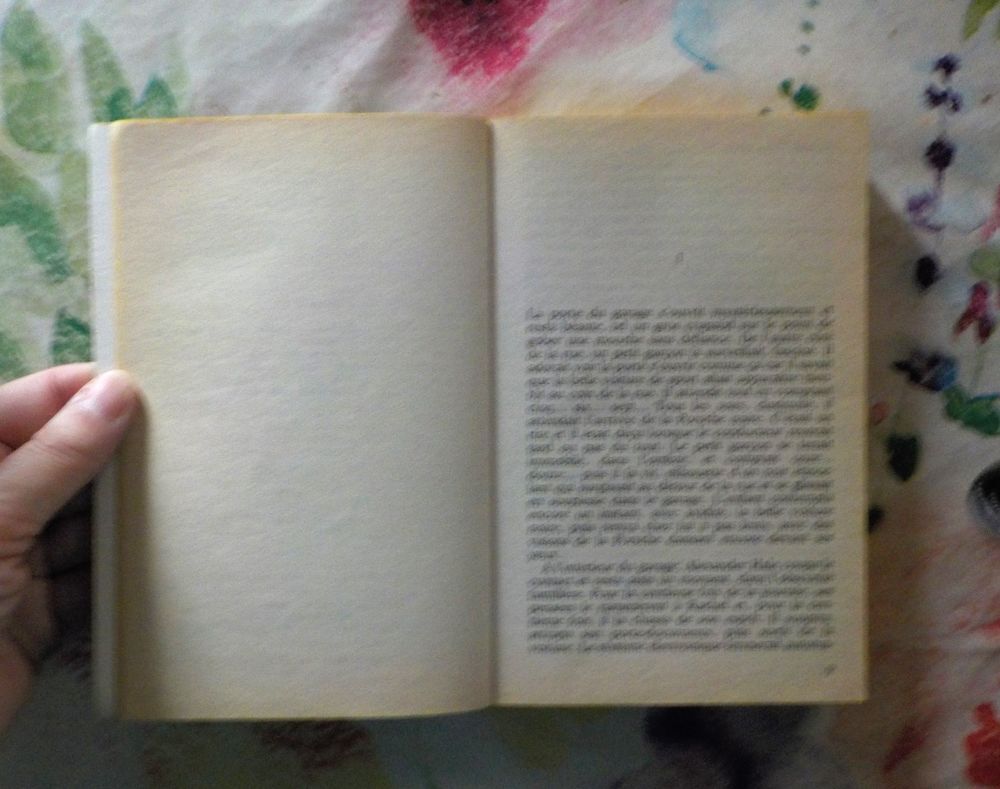 6 Danielle STEEL (d&eacute;tail dans l'annonce) Livres et BD