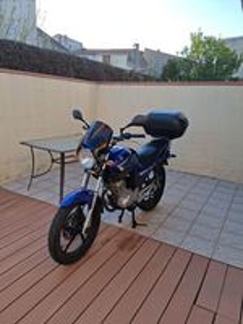 YAMAHA 2010 occasion 66690 Palau-del-Vidre