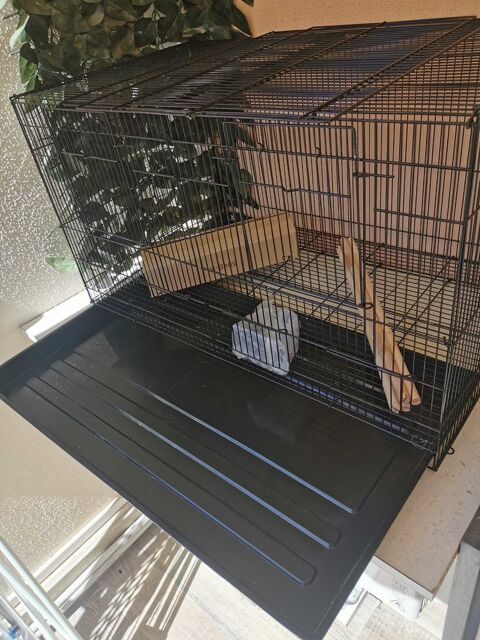Cage oiseaux neuve 40 Marseille 9 (13)
