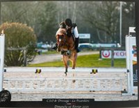   Ponette exceptionnelle PFS PP taille B 