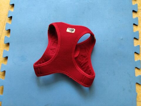 Harnais rouge Curli 10 34000 Montpellier