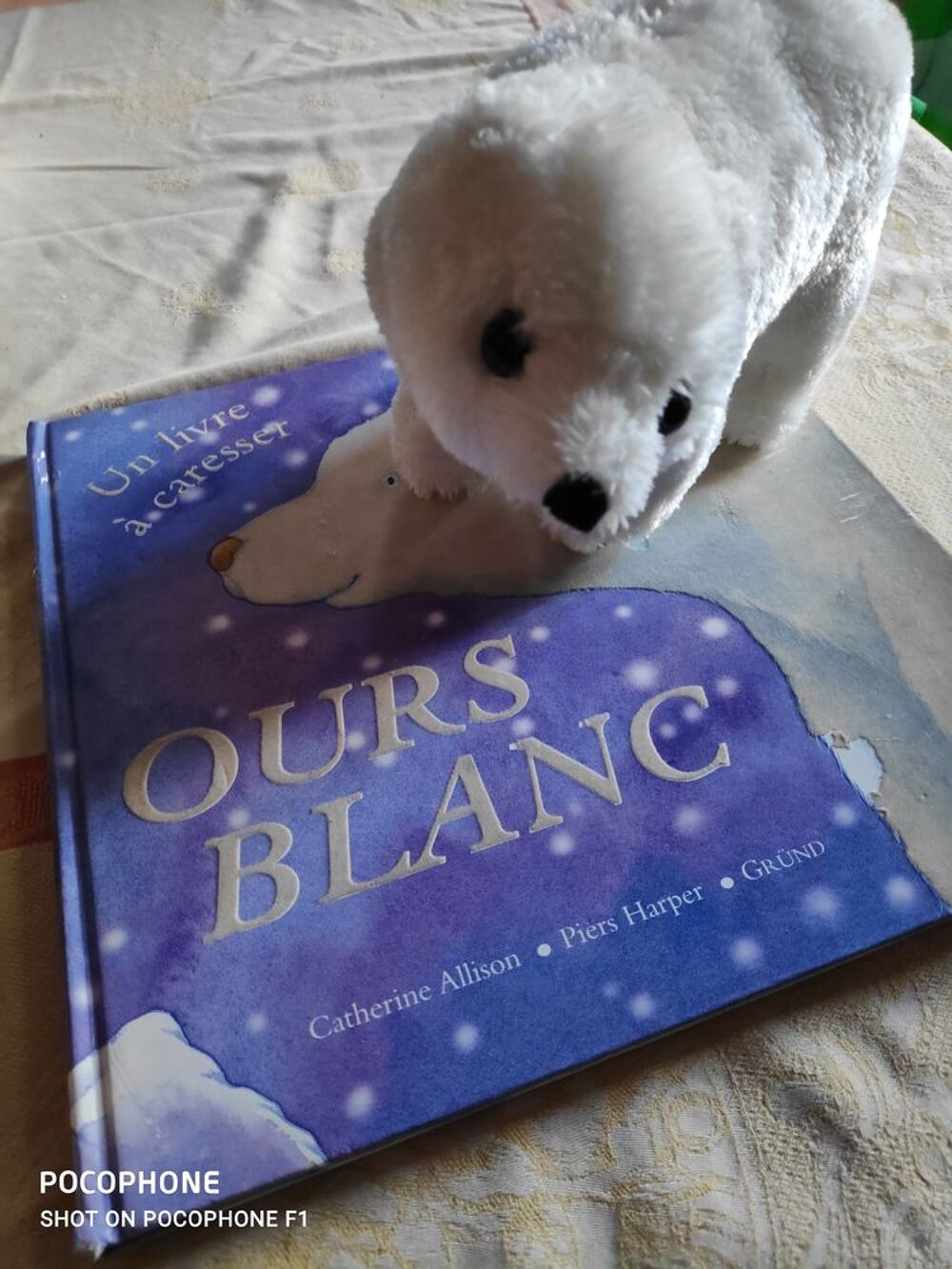 livre pour tout petits Livres et BD