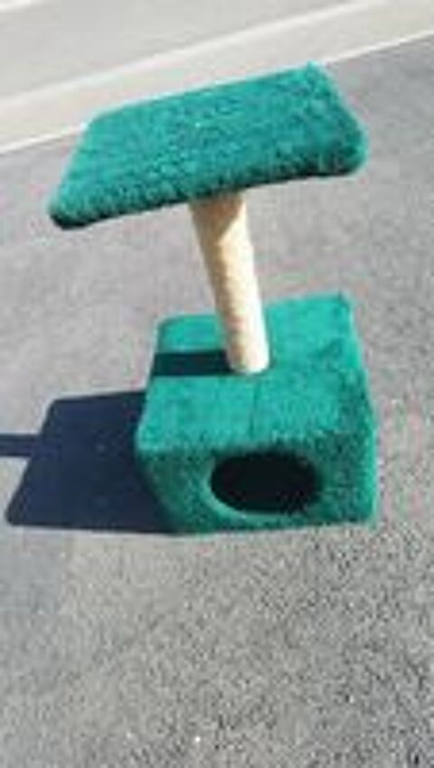   Arbre à chat,  