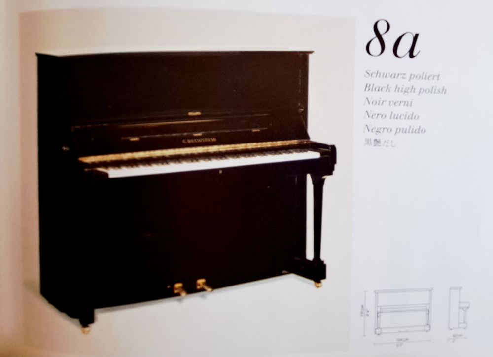 C. BECHSTEIN : mod&egrave;le 8A Noir piano Exceptionnel Instruments de musique