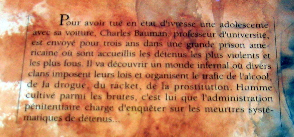 romans Lupin-Poirot-Morane et d autres. Livres et BD