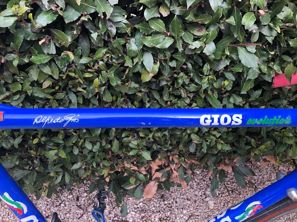 v&eacute;lo GIOS COMPACT mont&eacute; Campagnolo Record Vélos