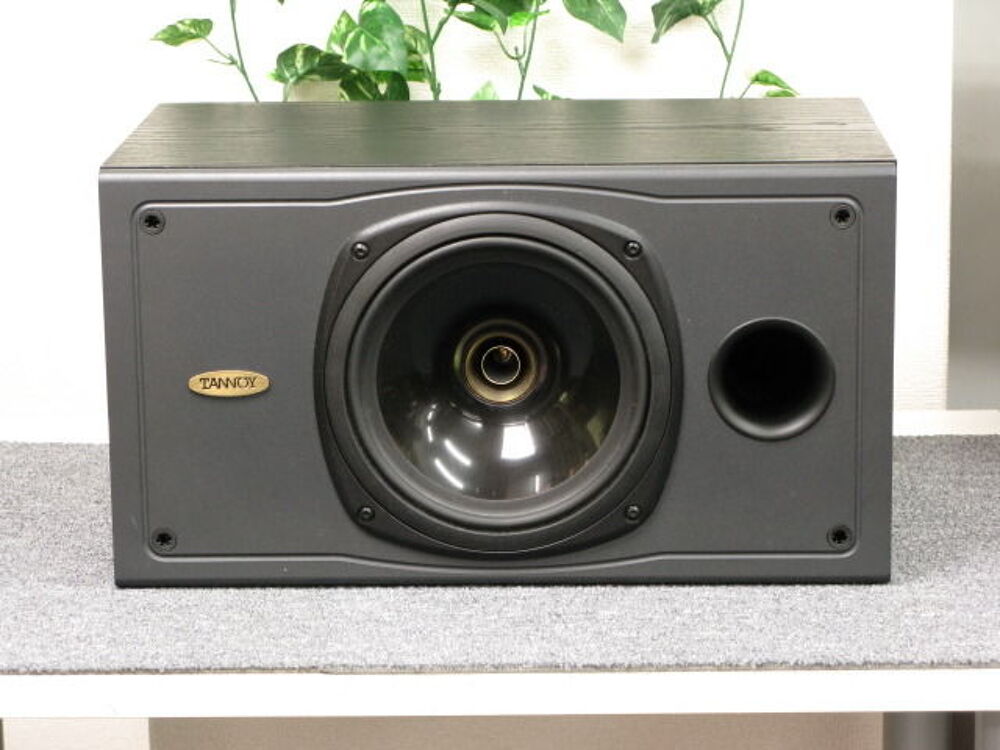 ENCEINTE TANNOY S8C CENTRALE Audio et hifi