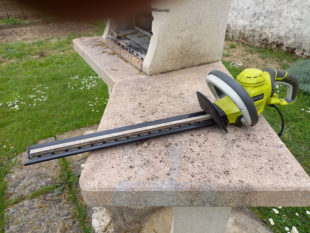 TAILLE HAIE Jardin