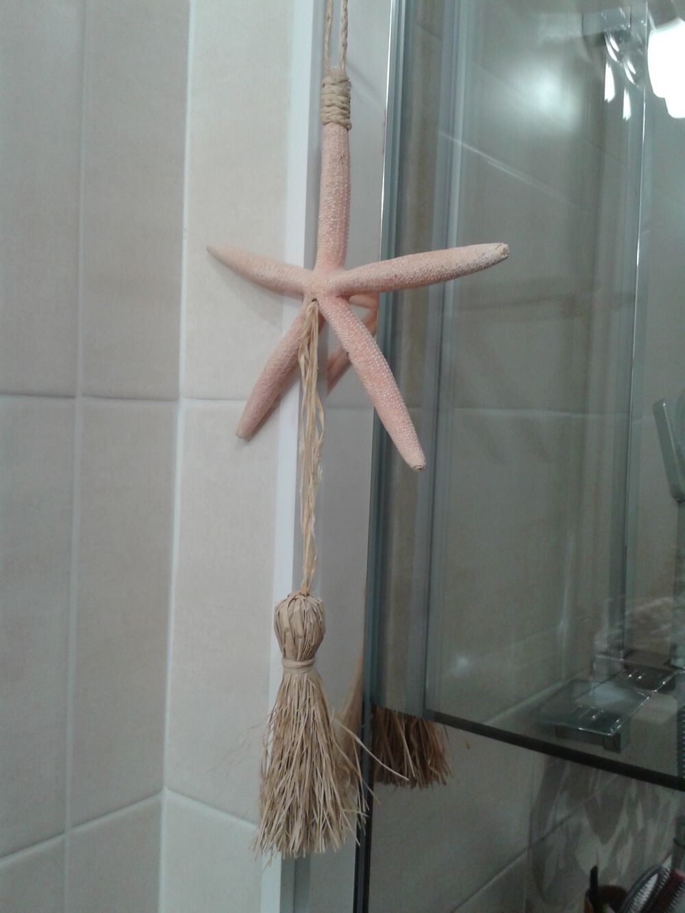 Etoile de mer &agrave; suspendre Décoration