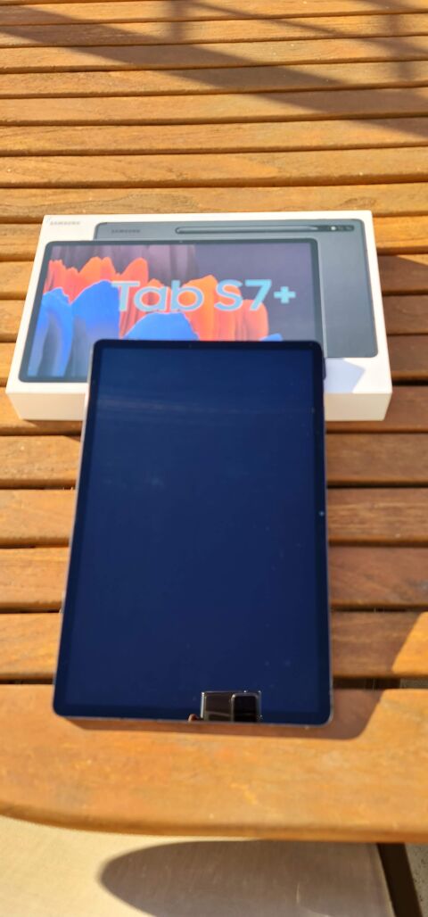 Samsung galaxy tab S7+ 500 Arles-sur-Tech (66)