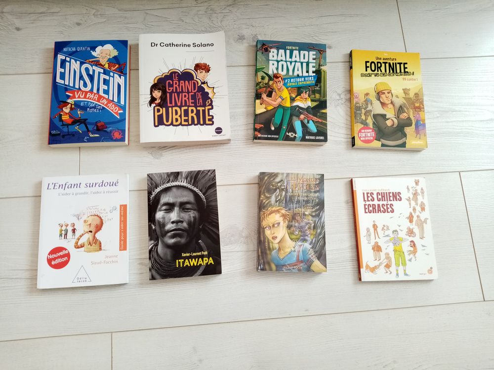 livre divers EINSTEIN fornite balade royale Livres et BD