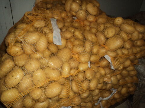 pomme de terre  agata
5 Quarr�-les-Tombes (89)