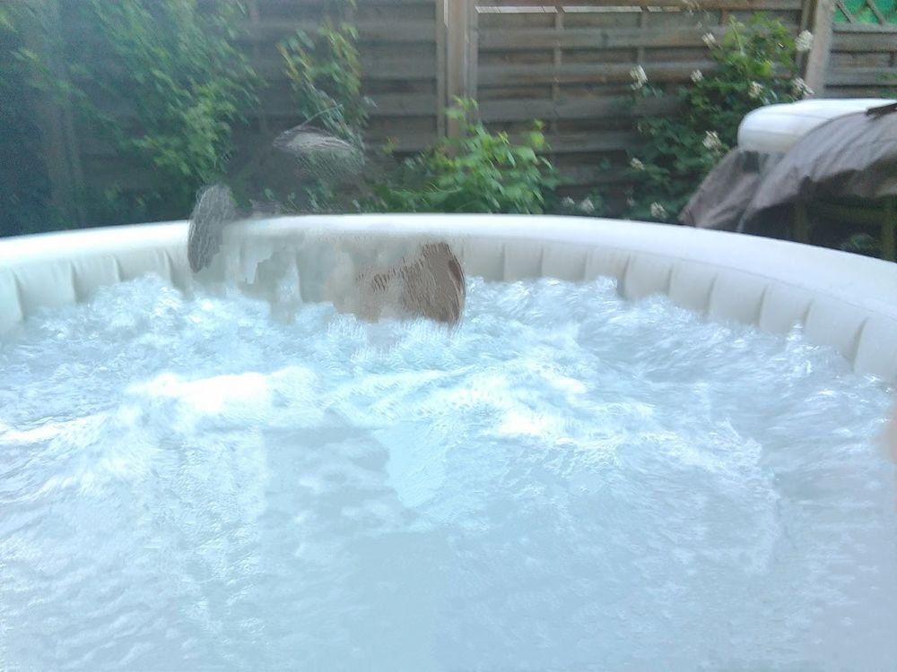 SPA intex 4/6 places Jardin