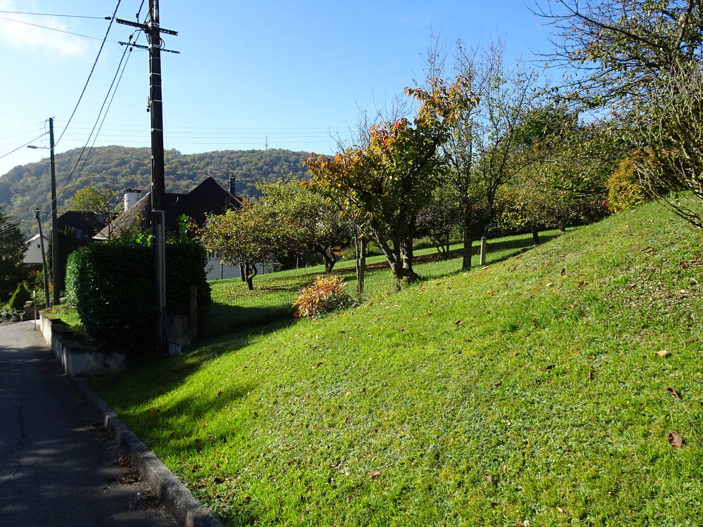 Vente Terrain TERRAIN 10 ARES À BART 25420 Bart