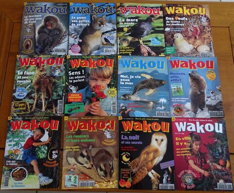 Lot de 12 revues WAKOU - 1996 10 Les Molires (91)