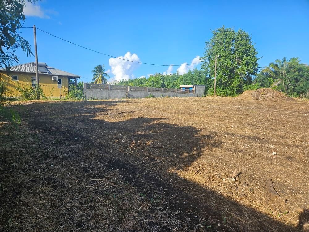 Vente Terrain Terrain plat a fort potentiel Le moule