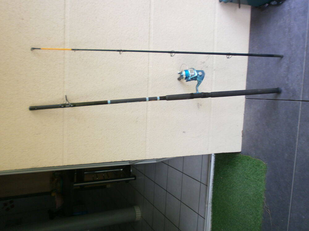 1 canne avec moulinet MITCHELL Sports