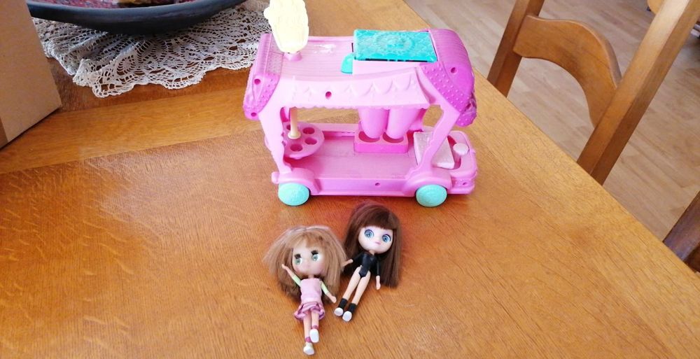 petits lots d'accessoires petshop Jeux / jouets