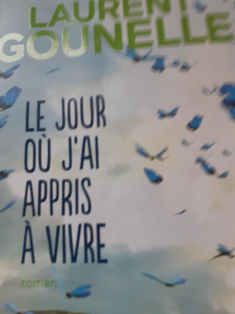 LIVRE LAURENT GOUNELLE LE JOUR OU J'AI APPRIS A VIVRE 4 Montb�liard (25)