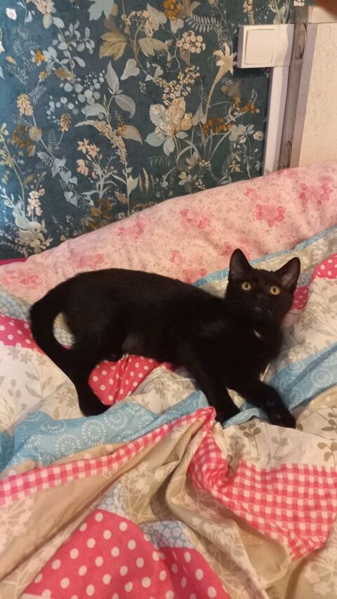 ARMSTRONG 180 27940 Aubevoye