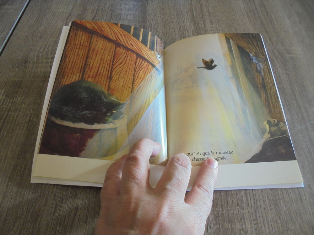 Le grand &eacute;ternuement (111) Livres et BD
