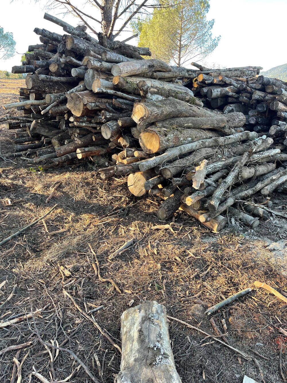 Bois de chauffage Bricolage