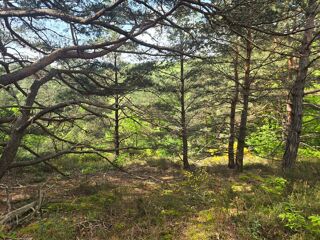  Terrain  vendre 15500 m