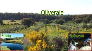  Terrain � vendre 250 m� Castelo branco, portugal