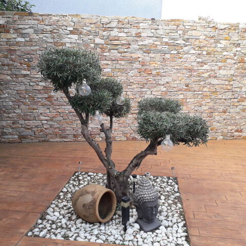 Jardinier paysagiste 0 66000 Perpignan