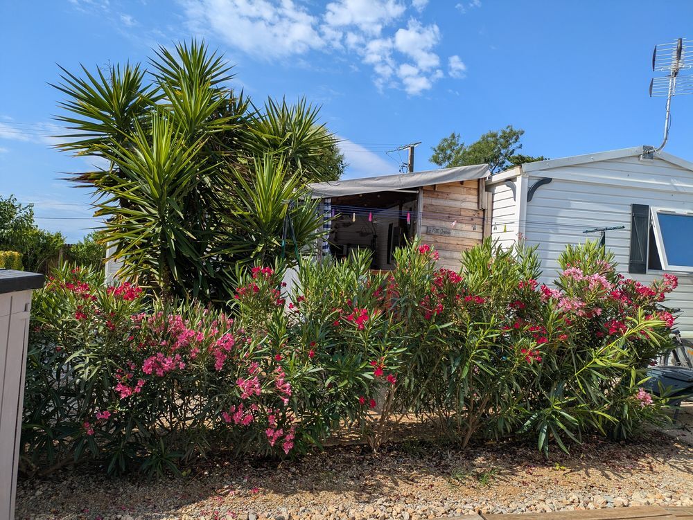   mobil-home Languedoc-Roussillon, Vic-la-Gardiole (34110)