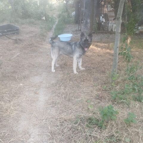 CAYA 95610 ragny