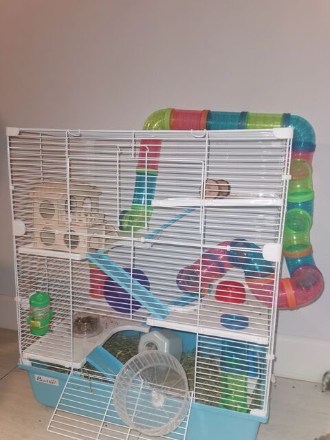 Cage rongeur 25 91230 Montgeron