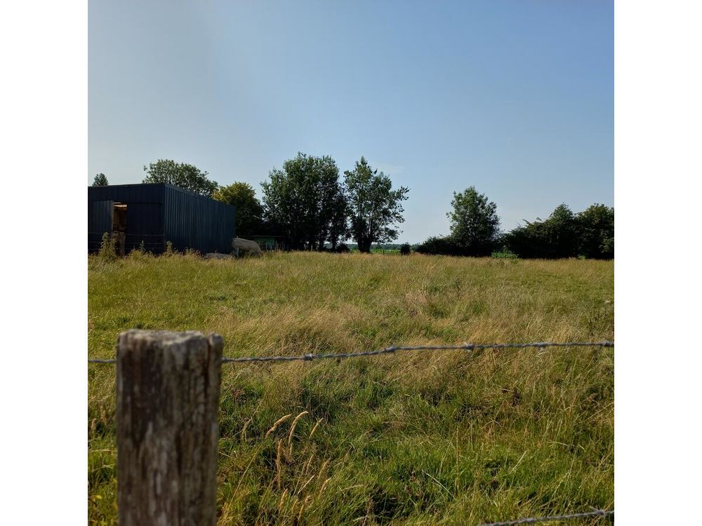 Vente Terrain Terrain Fressin