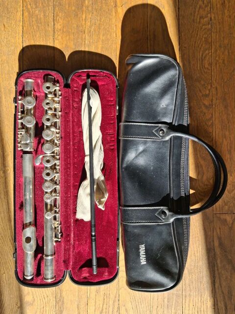 FL�TE TRAVERSIERE Villeurbanne (69)