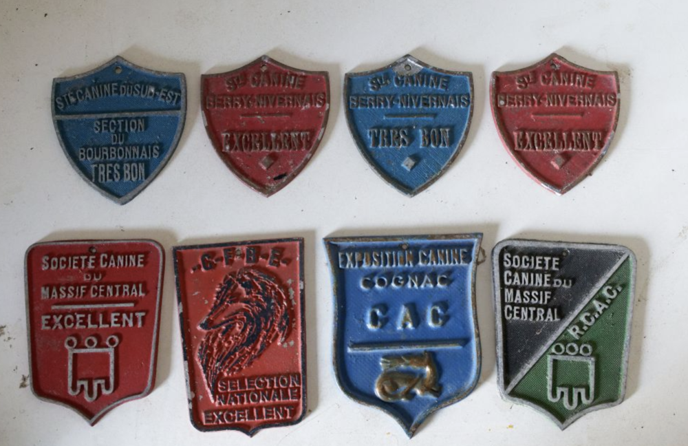 plaques de diverses soci&eacute;t&eacute;s canines 