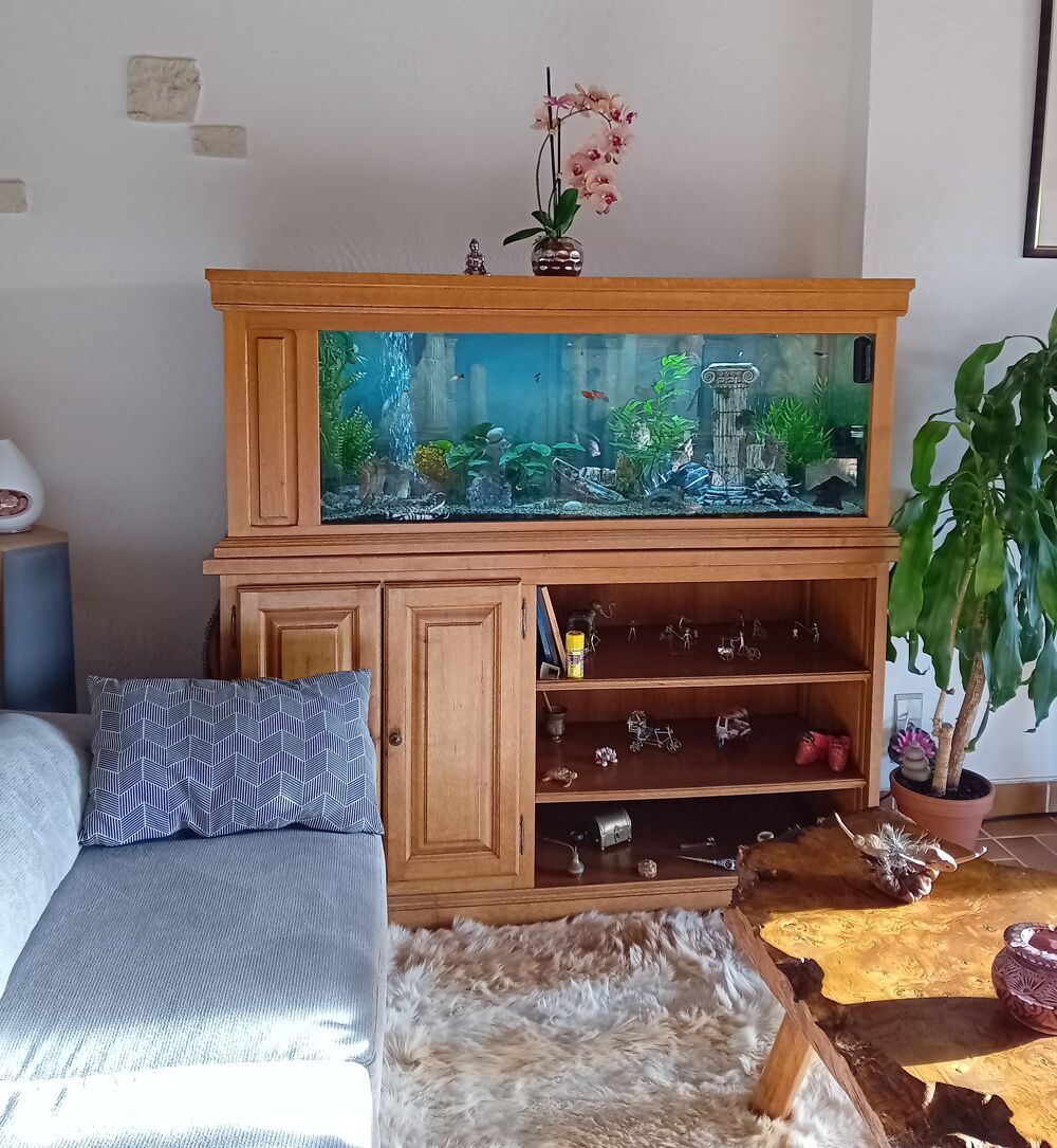 Aquarium Décoration
