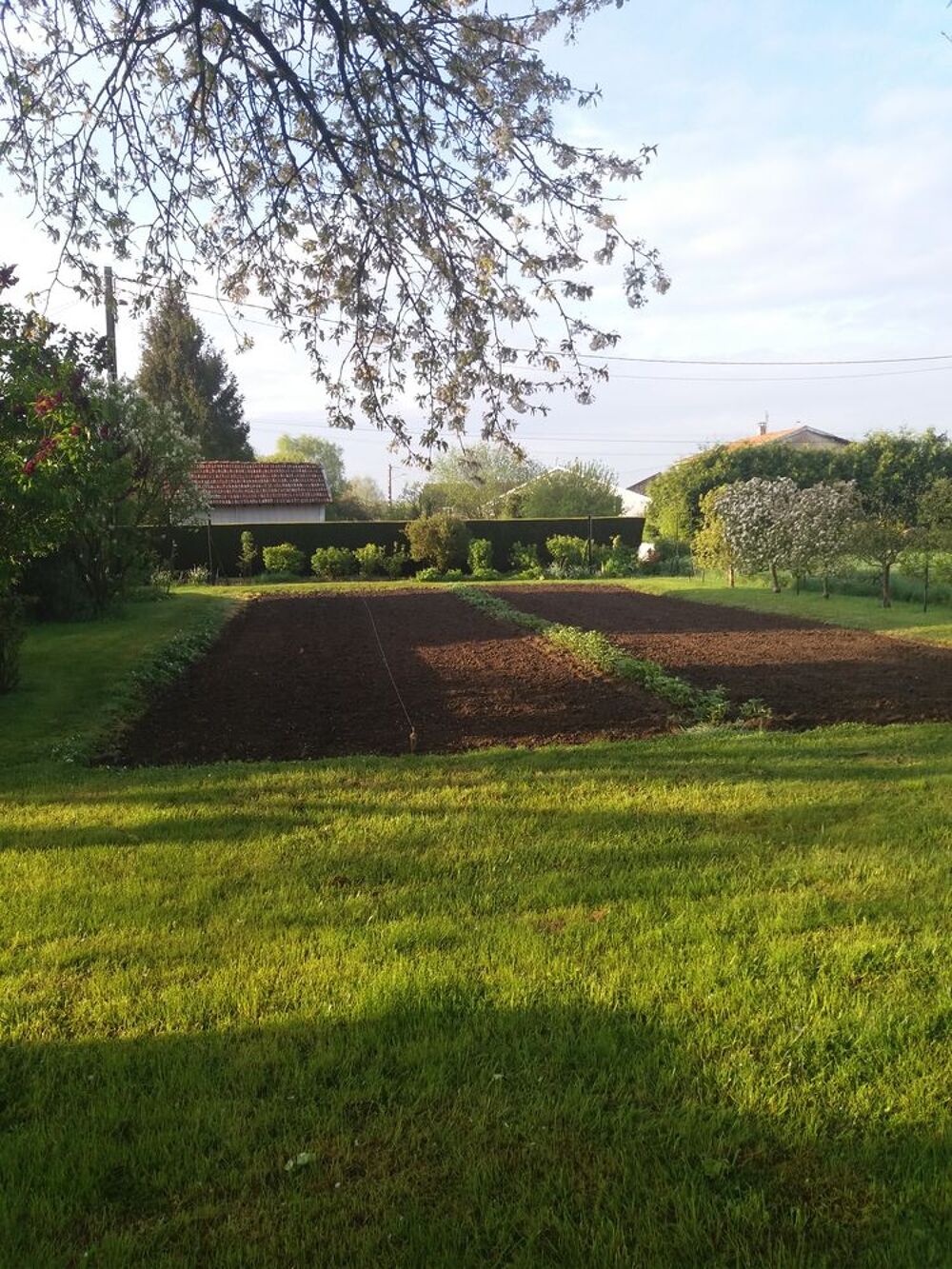 Vente Terrain Terrain constructible hors lotissement Landres
