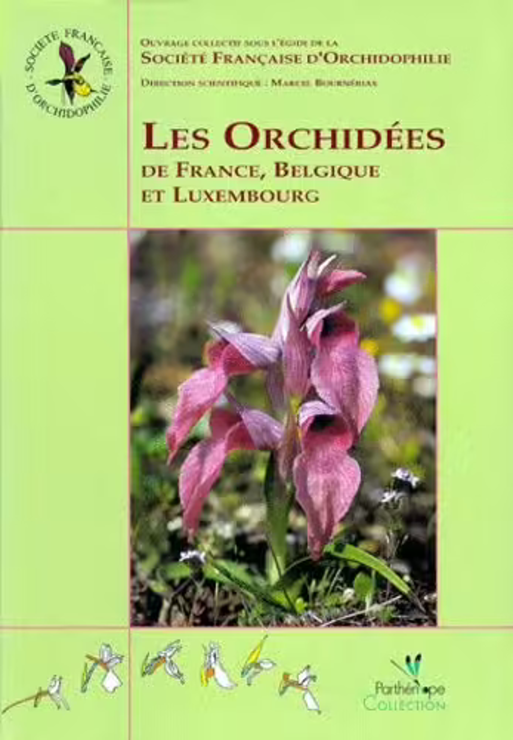 Les Orchid&eacute;es De France, Belgique Et Luxembourg Livres et BD
