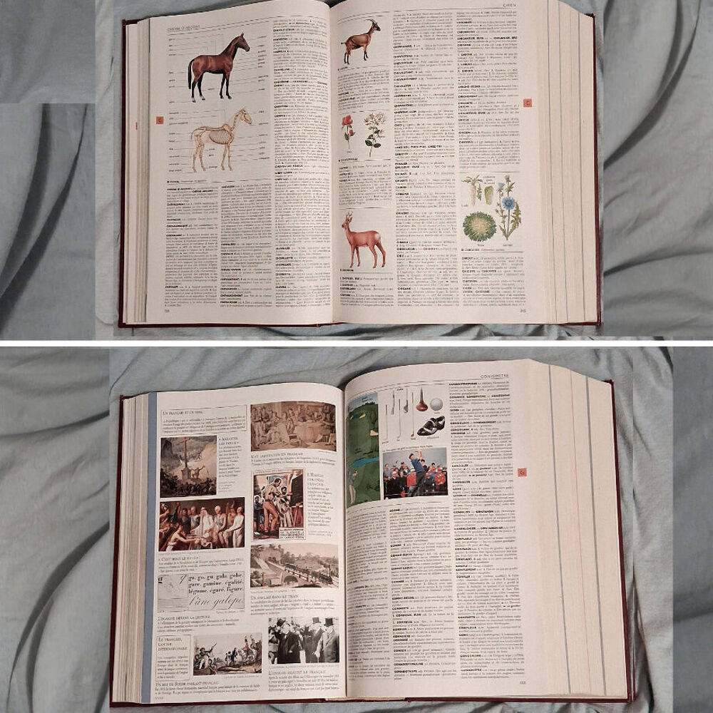 Gros dico Larousse 1850pages, 4kg Livres et BD