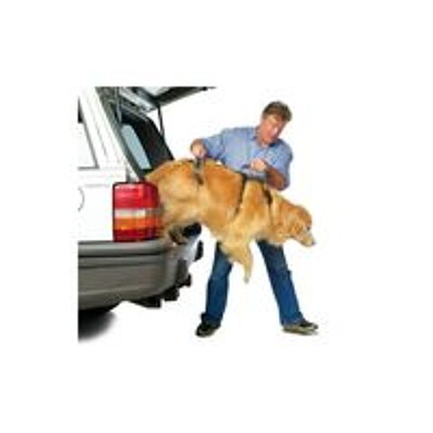   Harnais complet pour promenade pour chien mâle 