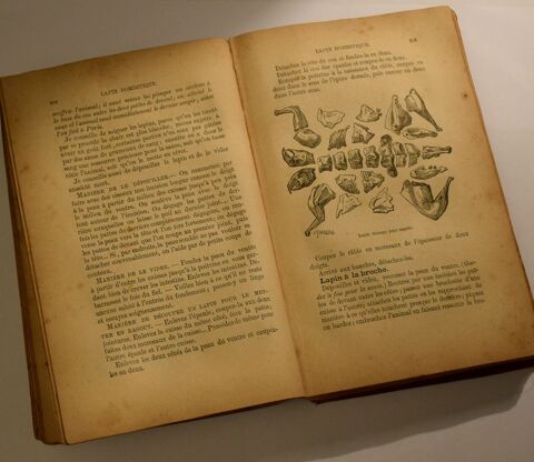 La Bonne Cuisine Fran�aise - Emile Dumont 1889 20 Roissy-en-Brie (77)