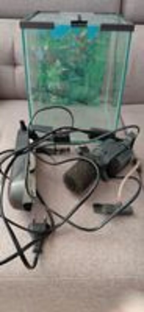   Aquarium idéal pour poisson combattant (Betta) avec accessoi 