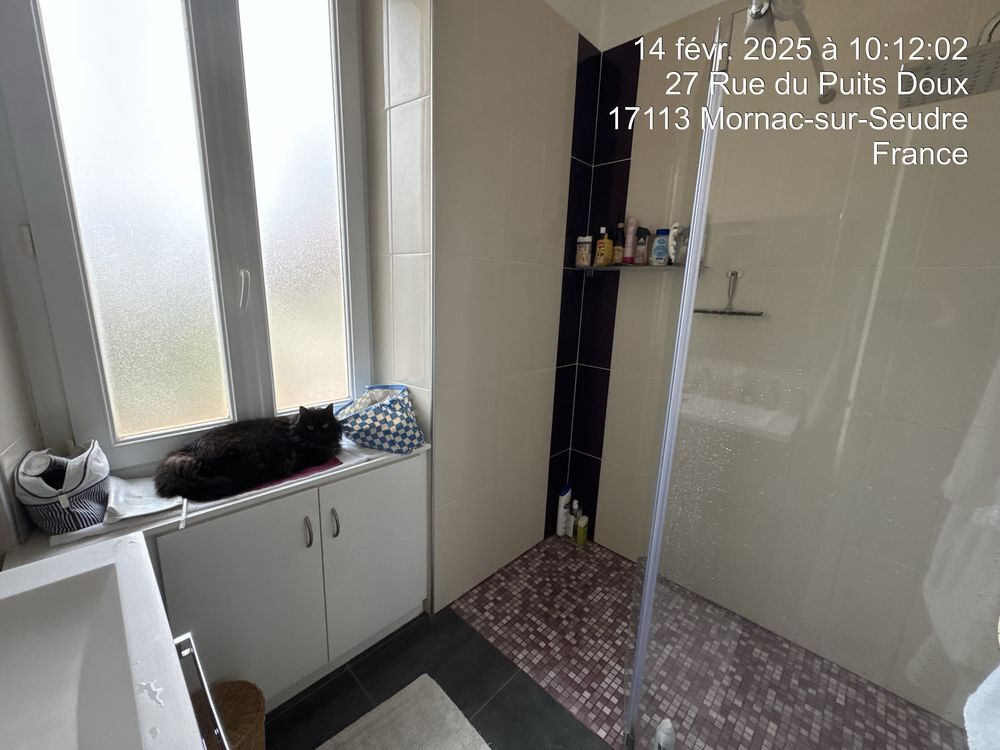 � vendre  Propri�t�/ch�teau Mornac-sur-Seudre (17113)