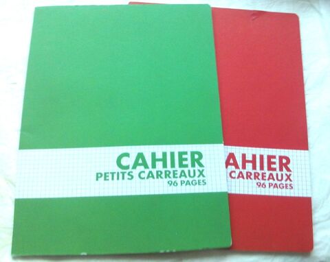 2 cahiers grand format (24 x 32) petits carreaux, 96 pages 2 Villeurbanne (69)