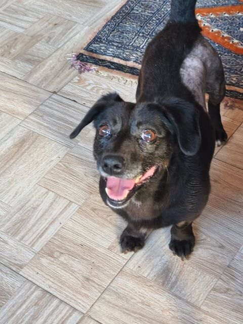 OSTEND 0 75018 Paris